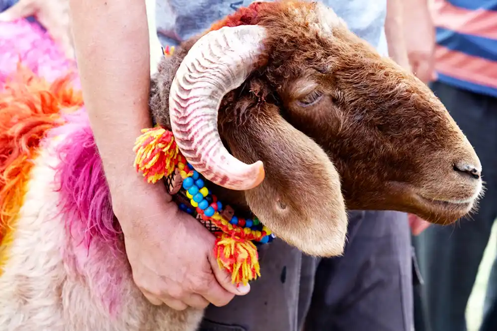 Eid al-Adha Rituals